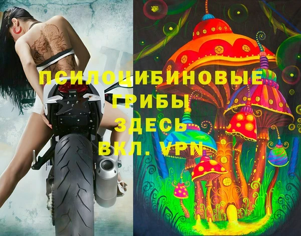 ALPHA PVP Гусиноозёрск