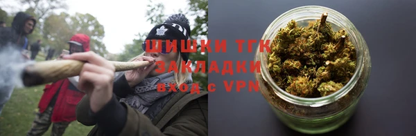 PSILOCYBIN Медвежьегорск