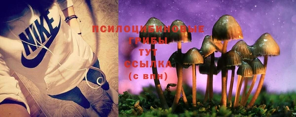 jwh Медногорск