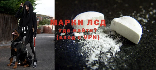 ГАЛЛЮЦИНОГЕННЫЕ ГРИБЫ Рославль