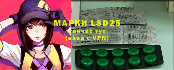 PSILOCYBIN Медвежьегорск