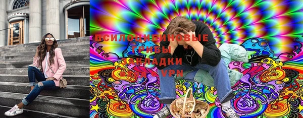 PSILOCYBIN Медвежьегорск