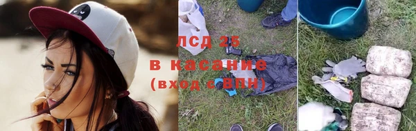 PSILOCYBIN Медвежьегорск