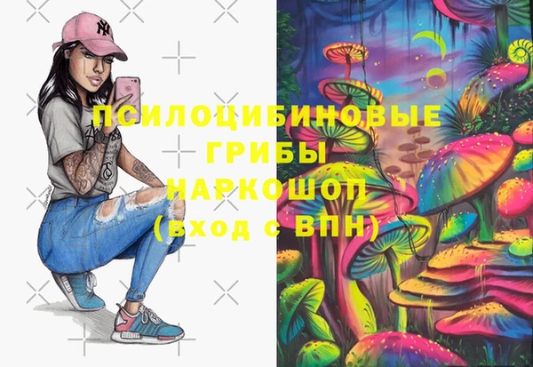 дмт Мегион