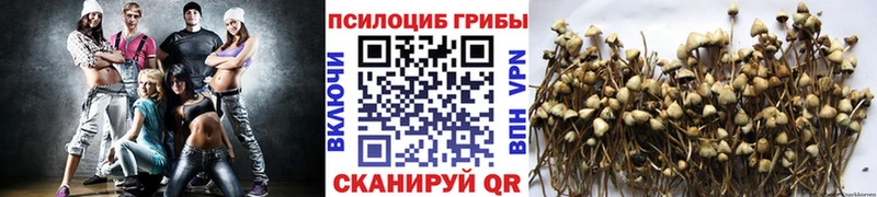 Псилоцибиновые грибы Psilocybe  Миньяр 